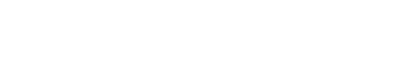 Vie Village